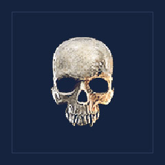 Flawless Skull