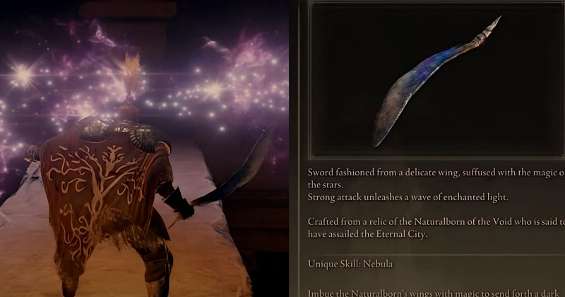 Elden Ring Wing of Astel Weapon Screenshot