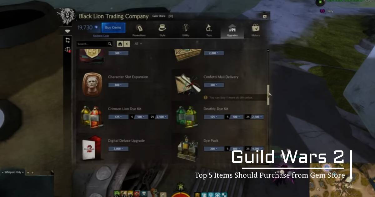 Top 5 Guild Wars 2 Items Should Purchase from Gem Store