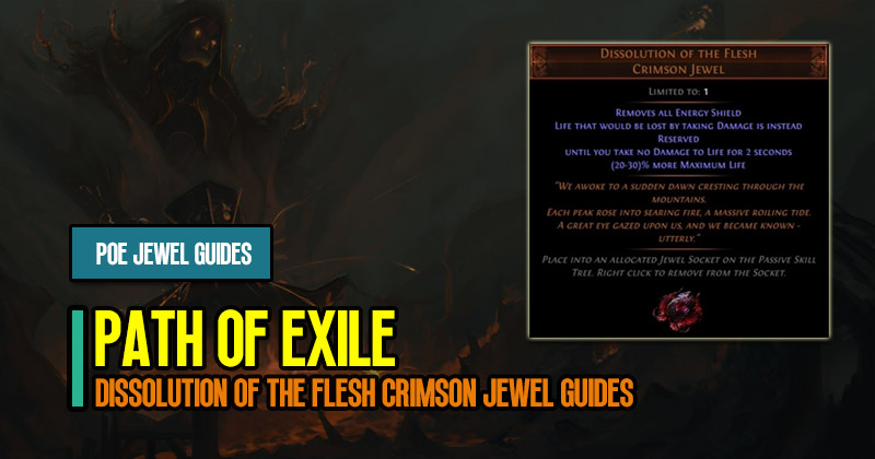 PoE Unique Dissolution of the Flesh Crimson Jewel Mechanics Guides