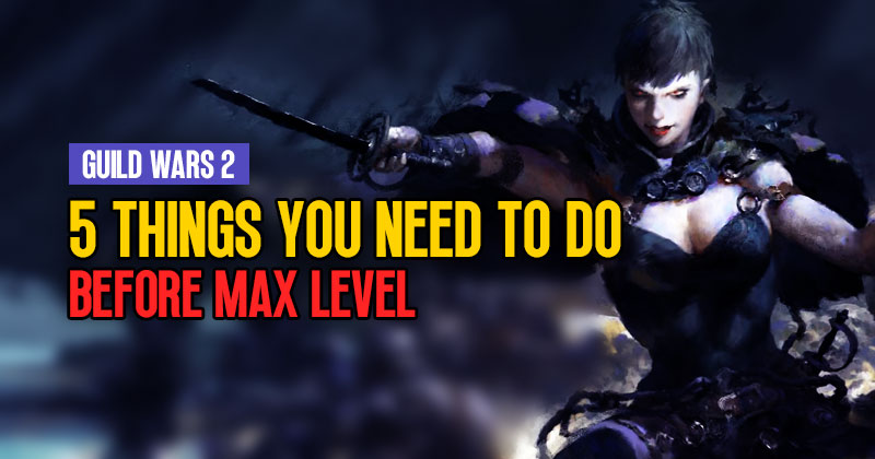 5 Things You Need To Do Before Max Level in Guild Wars 2