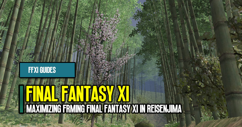 FF11 Gil Guide: Maximizing Frming Final Fantasy XI in Reisenjima