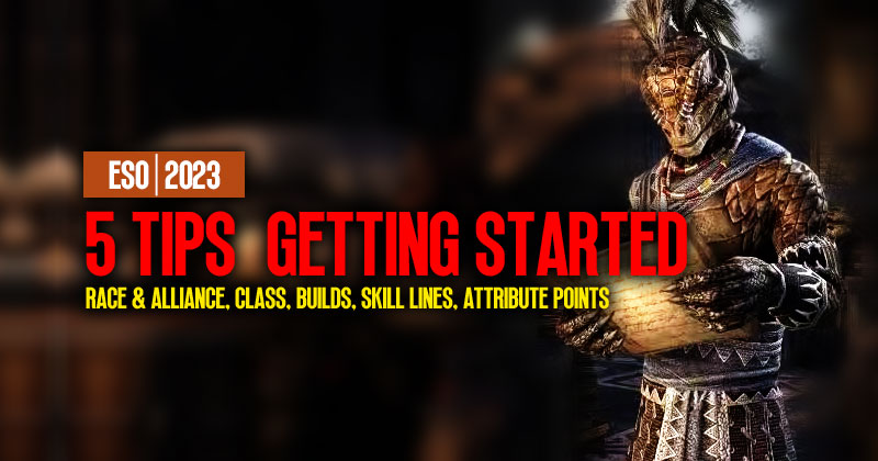 ESO Getting Started Tips | 2023: Race & Alliance, Class, Builds, Skill Lines, and Attribute Points