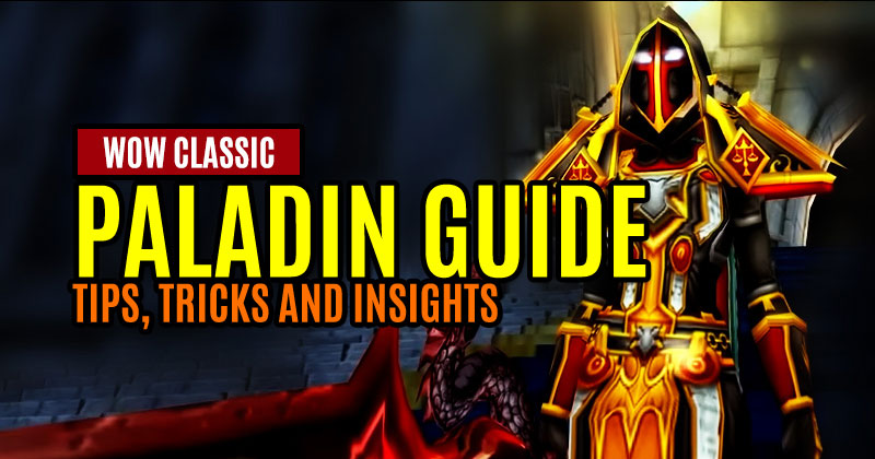 Classic WoW Paladin Ultimate Guide: Tips, Tricks and insights