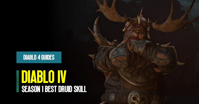 Which are the Best Druid Skill for Diablo 4 Season 1 Druid Builds?
