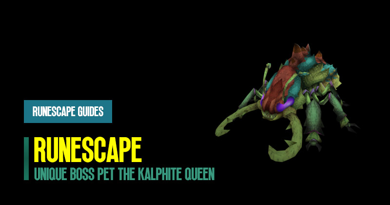 How to Get RuneScape Unique Boss Pet The Kalphite Queen?