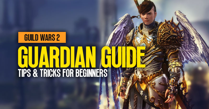 Guild Wars 2 Guardian Profession Guide: Tips & Tricks For Beginners