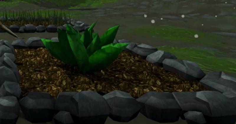 RuneScape 3 Gold Farming with Low-Effort Herb for Beginners