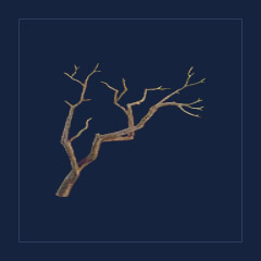 Corrupted Roots